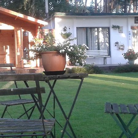 Helpende Hand Villa Oelegem Dış mekan fotoğraf