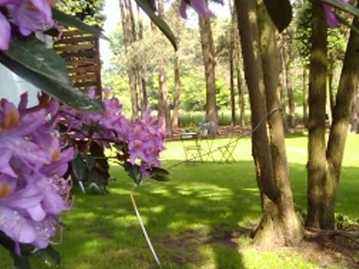 Helpende Hand Villa Oelegem Dış mekan fotoğraf