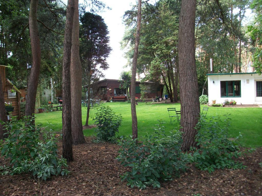 Helpende Hand Villa Oelegem Dış mekan fotoğraf